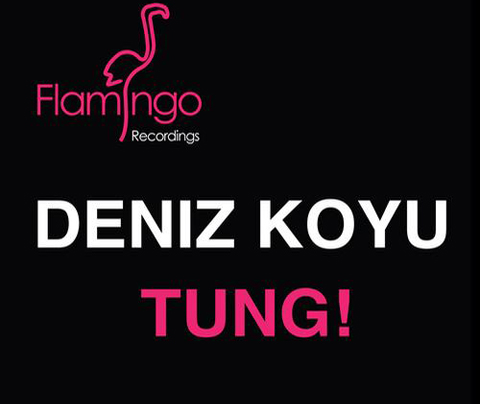 Deniz Koyu Vs C Hantal The Realm Tung T E D Factory Bootleg Electronica Oasis deniz koyu vs c hantal the realm tung t e d factory bootleg electronica oasis