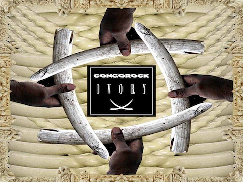 Congorock Ivory ivory Congorock Ivory