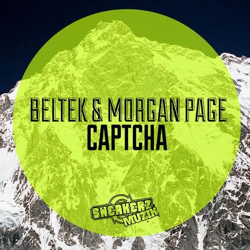 7125905 Beltek & Morgan Page   Captcha